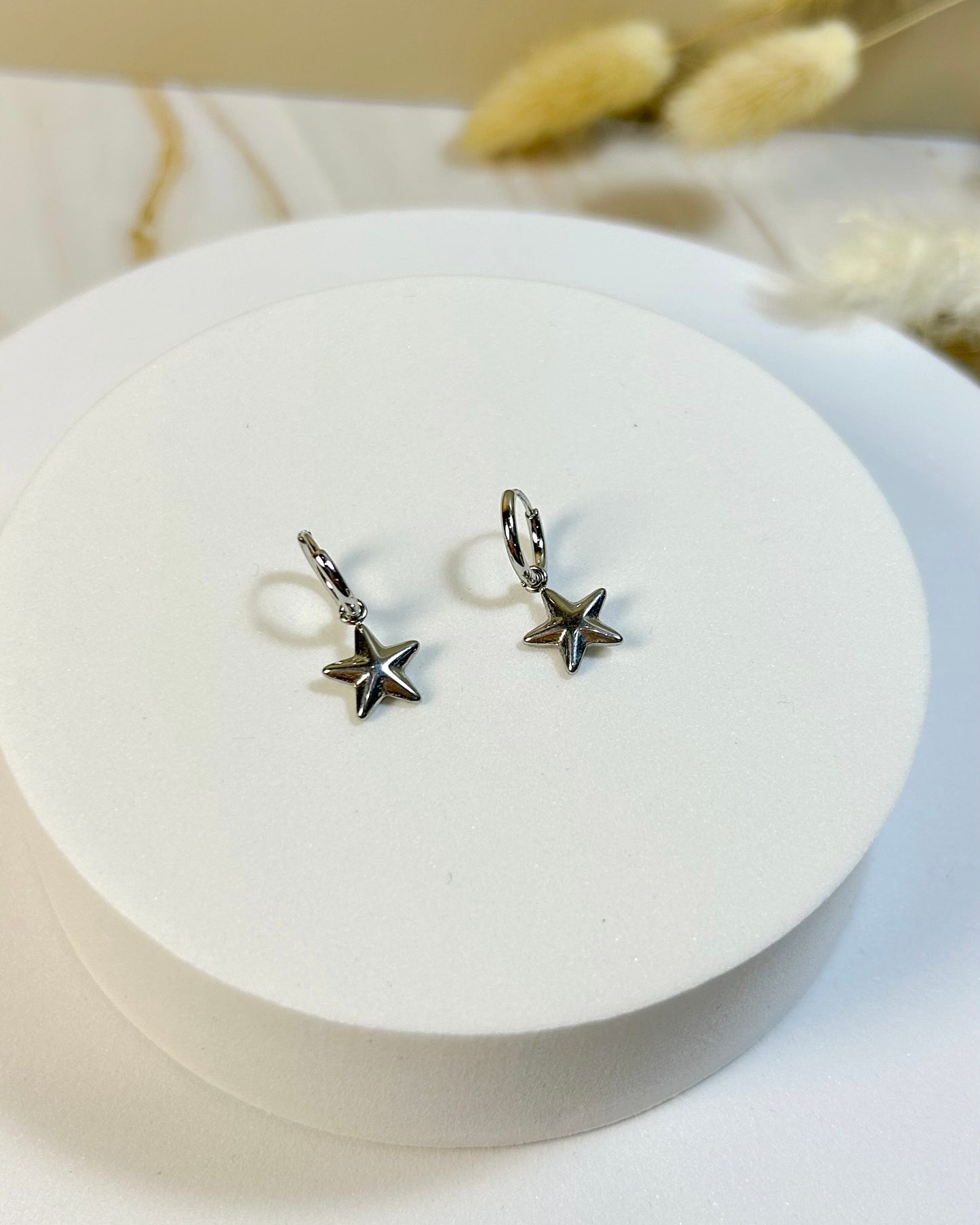 Hoops Estrella Mini Plata