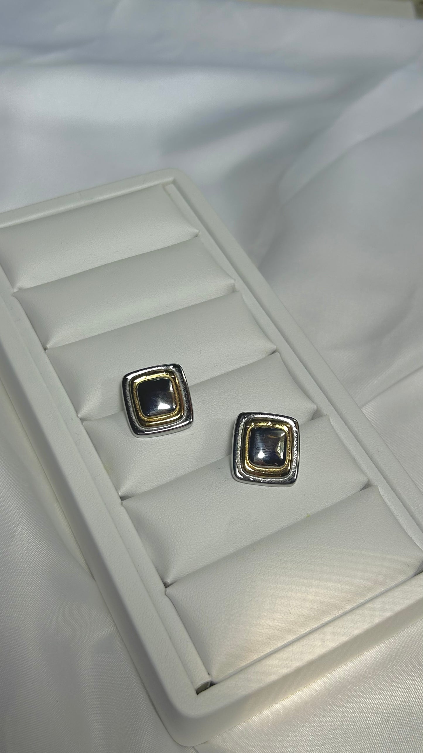 Aretes Marc Bicolor