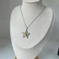 Collar Estrella Bicolor
