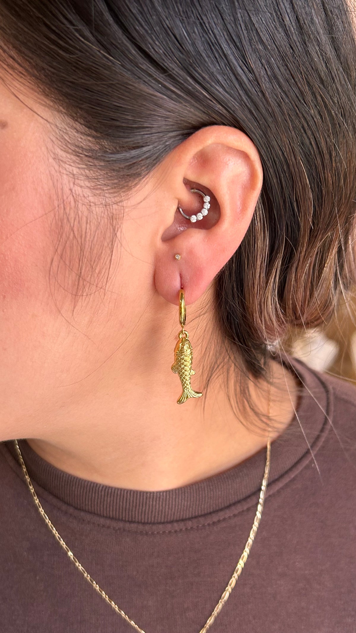 Hoops Koi Fish