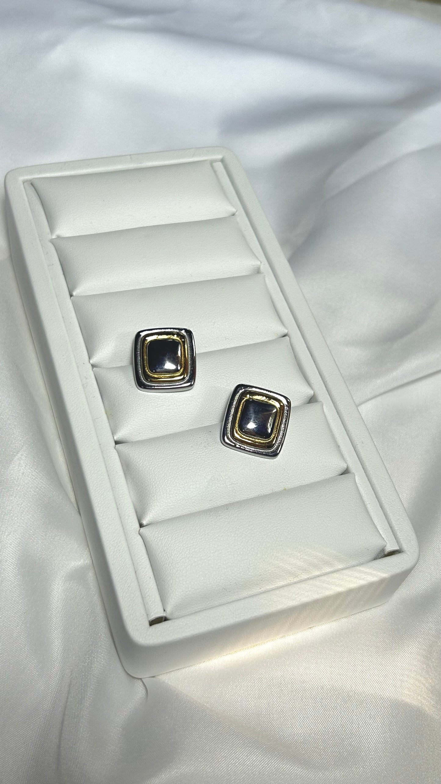 Aretes Marc Bicolor