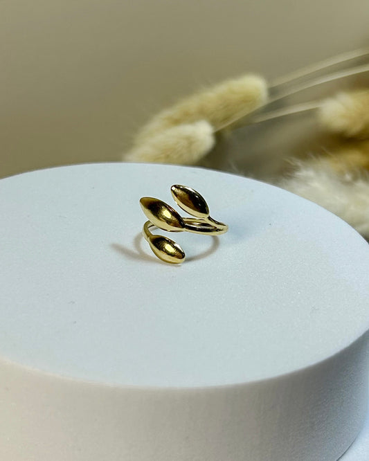 Anillo Palm