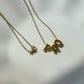 Collar Bubble Name