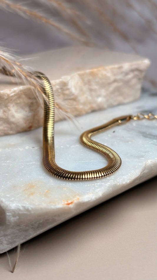pulsera básica panza de vivora