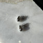 Aretes Tear Silver