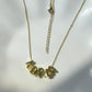 Collar Bubble Name
