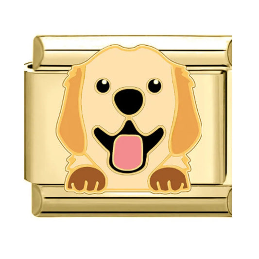 Charm Golden Retriever