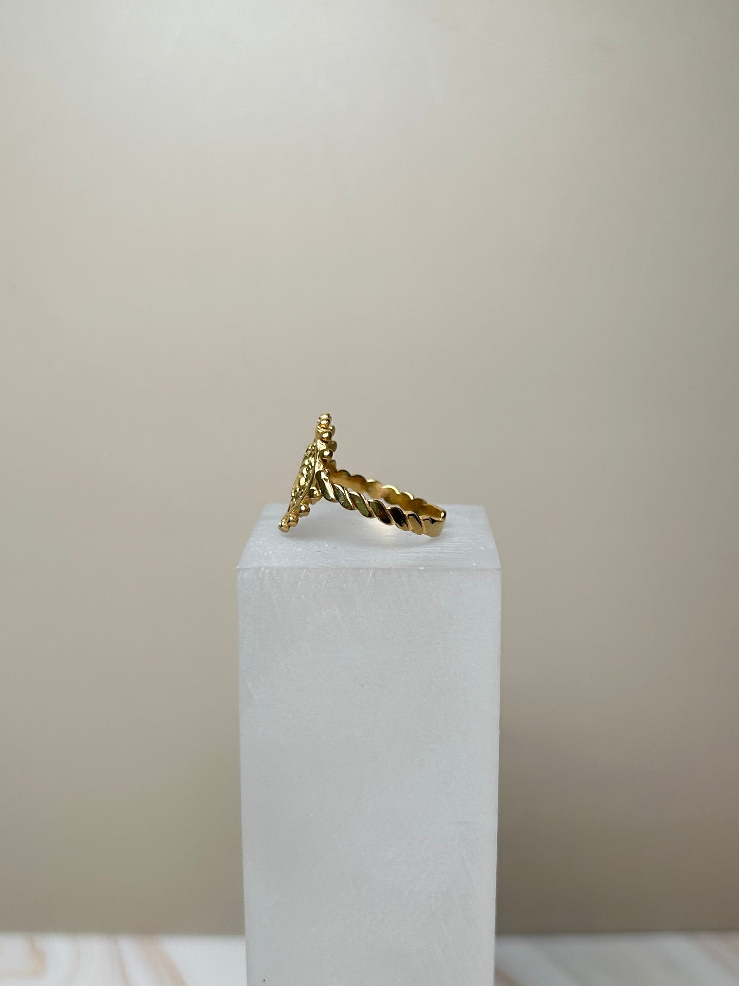 Anillo corazon encerrado