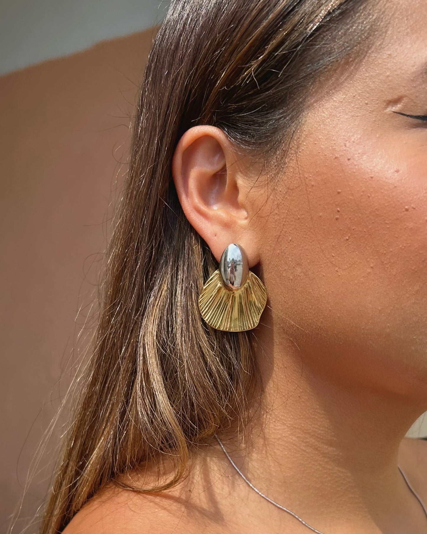Aretes Clam Bicolor