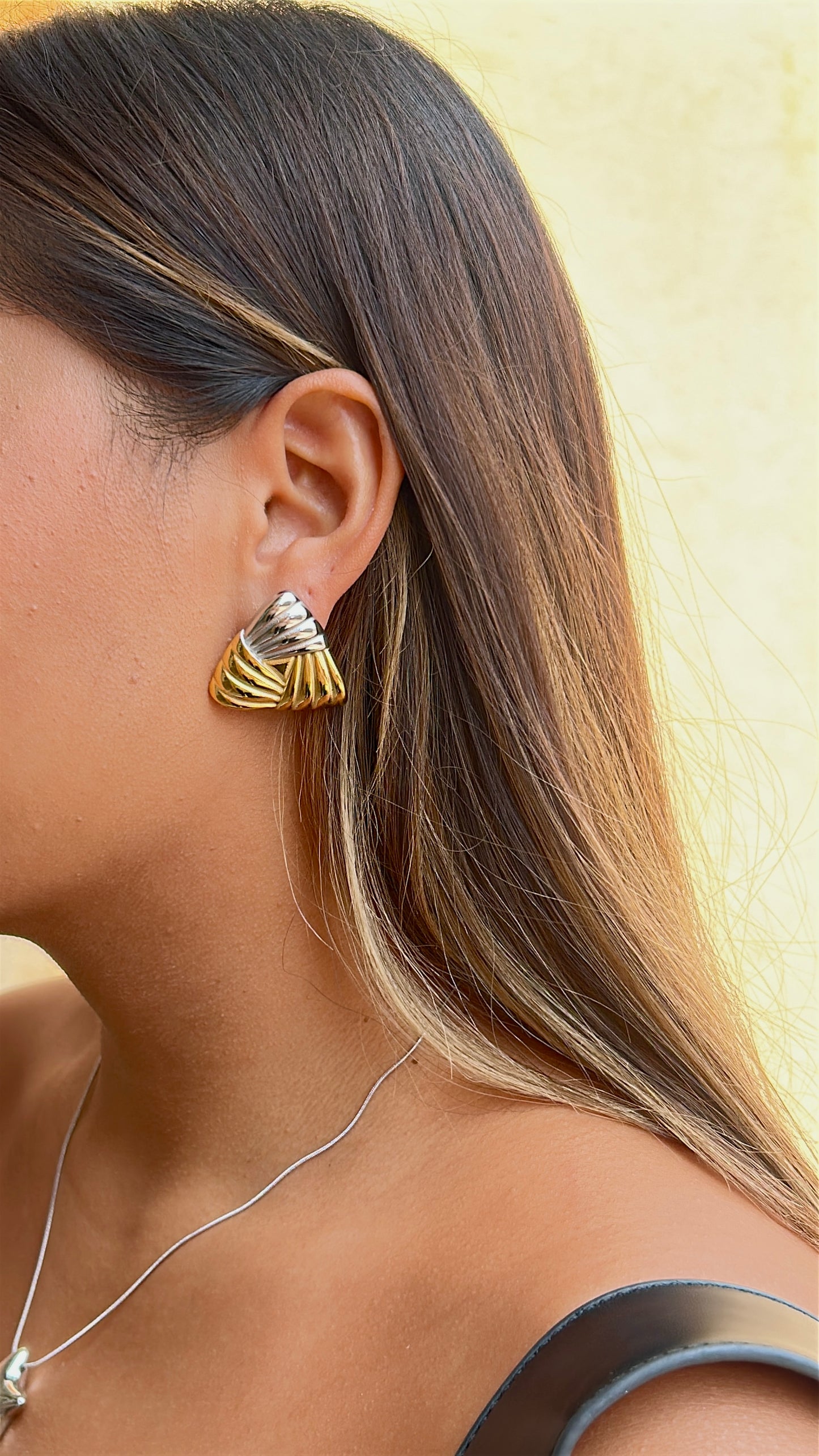 Aretes Beca Bicolor