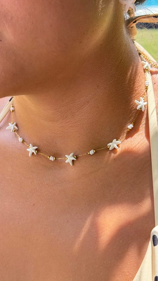 Collar starfish
